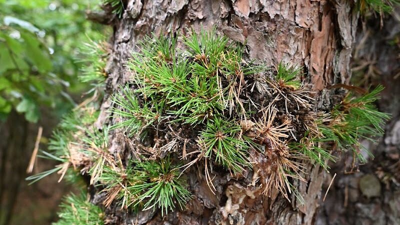 HJP Regional Park - Stroudsburg, PA