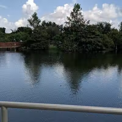 Bruner Pond Park - Stuart, FL