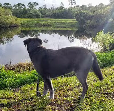 Haney Creek Dog Park - Stuart, FL