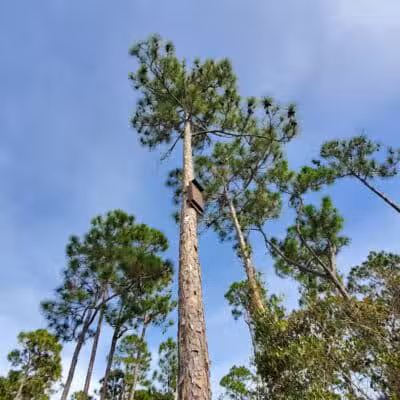 Haney Creek Dog Park - Stuart, FL
