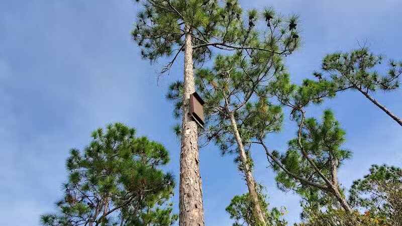 Haney Creek Dog Park - Stuart, FL