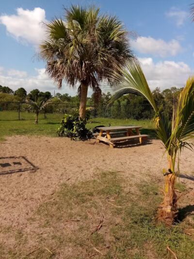Haney Creek Dog Park - Stuart, FL