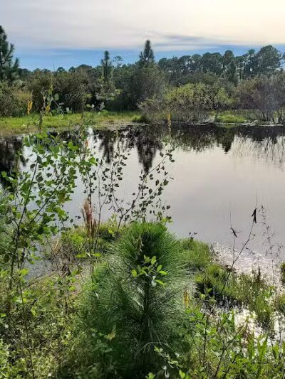 Haney Creek Dog Park - Stuart, FL
