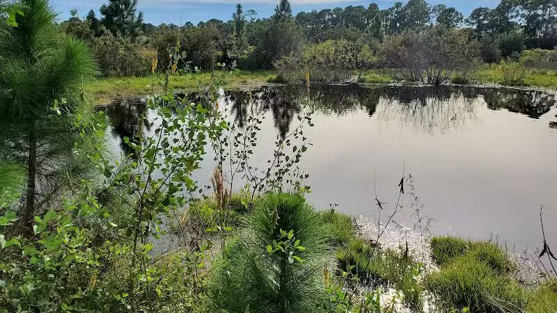 Haney Creek Dog Park - Stuart, FL