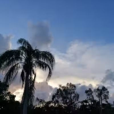 Haney Creek Park - Stuart, FL