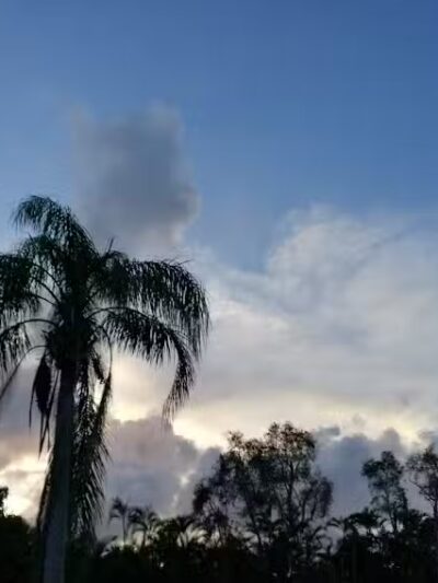 Haney Creek Park - Stuart, FL