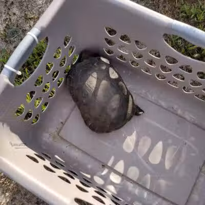 Haney Creek Park - Stuart, FL