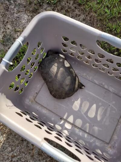 Haney Creek Park - Stuart, FL