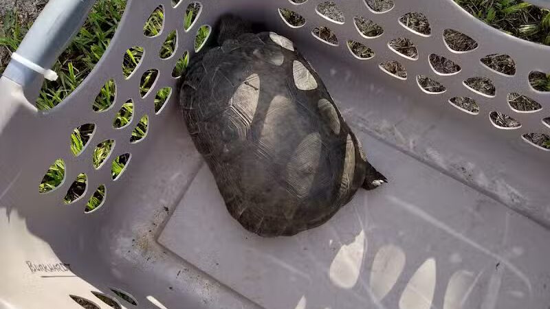 Haney Creek Park - Stuart, FL