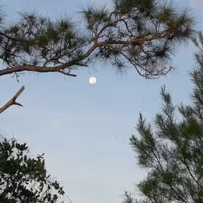 Haney Creek Park - Stuart, FL