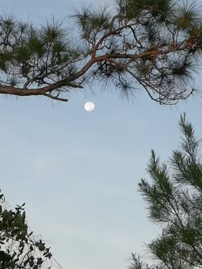 Haney Creek Park - Stuart, FL