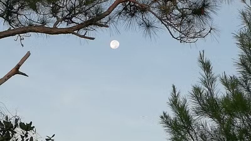 Haney Creek Park - Stuart, FL