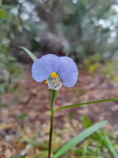 Haney Creek Park - Stuart, FL