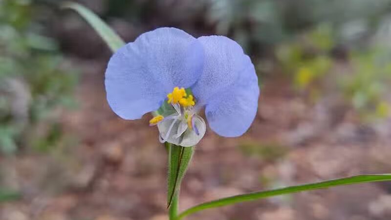 Haney Creek Park - Stuart, FL