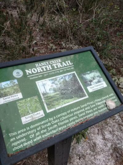 Haney Creek Park - Stuart, FL