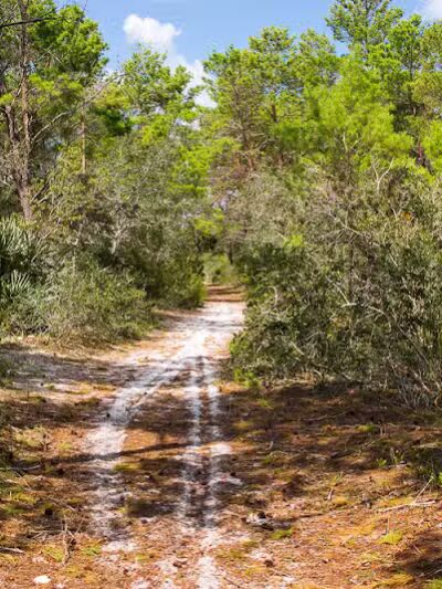 Haney Creek Park - Stuart, FL