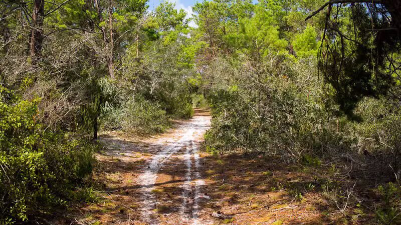 Haney Creek Park - Stuart, FL