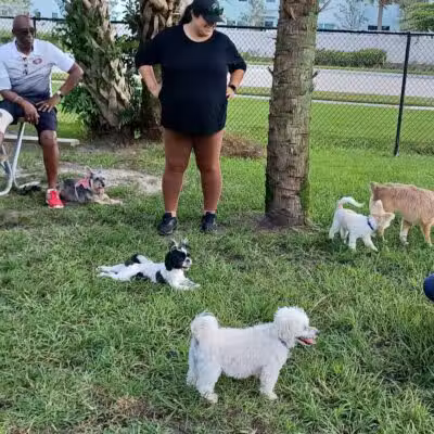 Poppleton Creek Dog Park - Stuart, FL