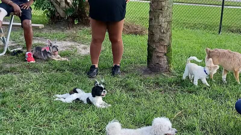 Poppleton Creek Dog Park - Stuart, FL