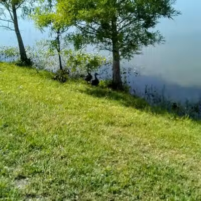 Poppleton Creek Dog Park - Stuart, FL
