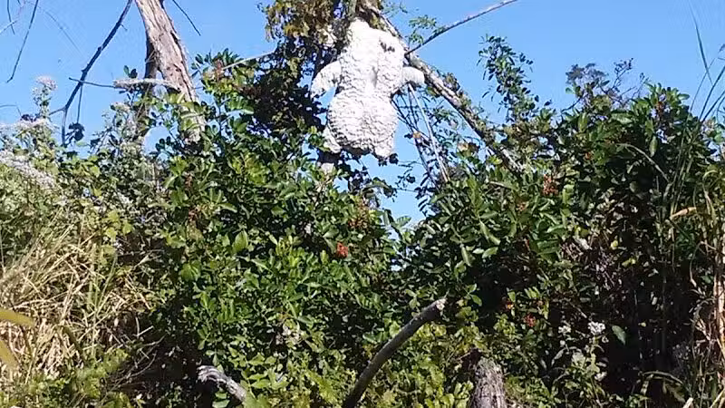 Poppleton Creek Dog Park - Stuart, FL
