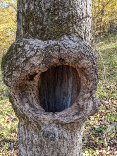 Nations Bridge Park - Stuart, IA