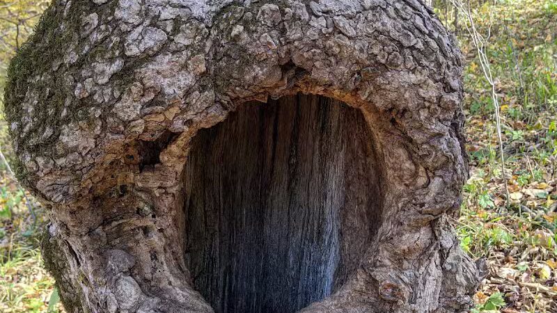 Nations Bridge Park - Stuart, IA