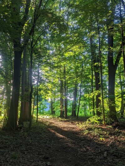 Black River Park Parking Lot - Succasunna, NJ