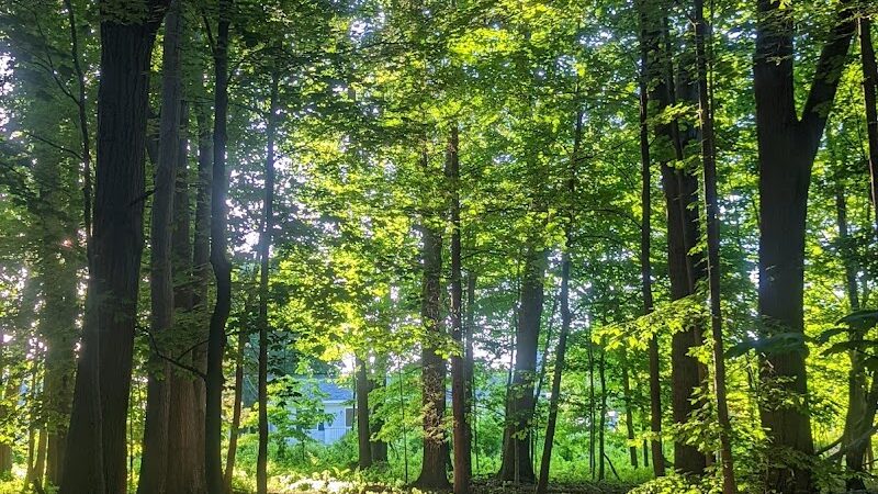 Black River Park Parking Lot - Succasunna, NJ