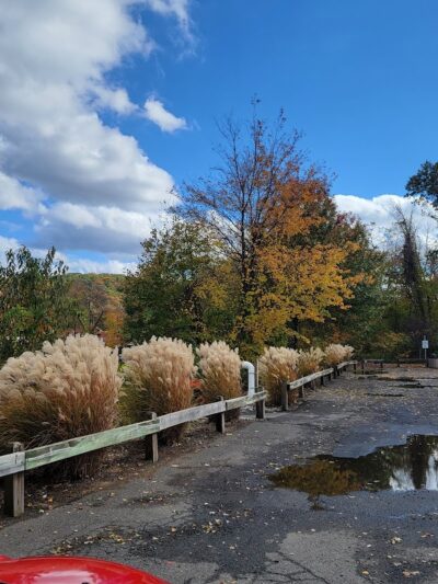 Black River Park Parking Lot - Succasunna, NJ