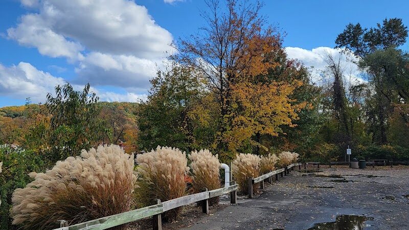 Black River Park Parking Lot - Succasunna, NJ