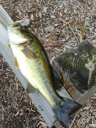 Black River Park Parking Lot - Succasunna, NJ