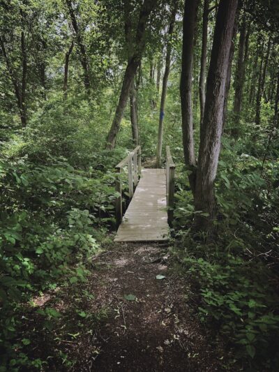 Black River Park Parking Lot - Succasunna, NJ