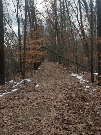 Black River Park Parking Lot - Succasunna, NJ