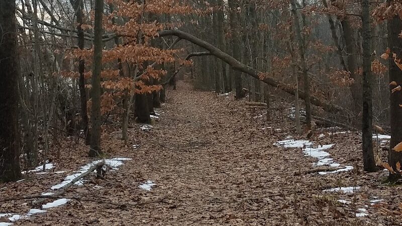 Black River Park Parking Lot - Succasunna, NJ