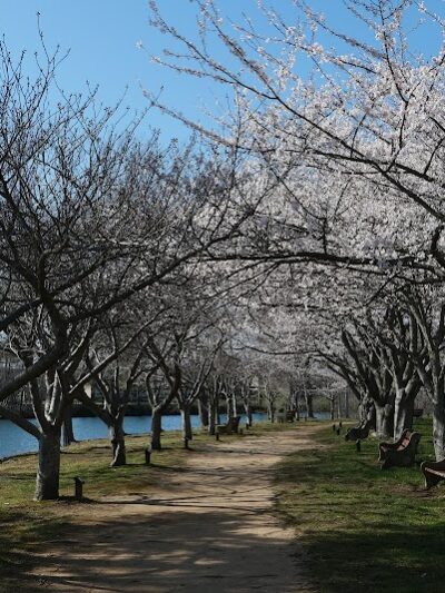 Horseshoe Lake Recreation Complex - Succasunna, NJ