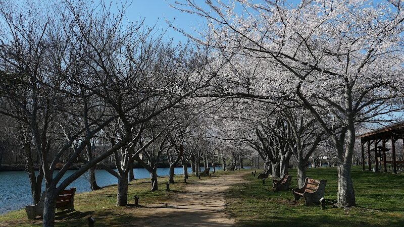 Horseshoe Lake Recreation Complex - Succasunna, NJ