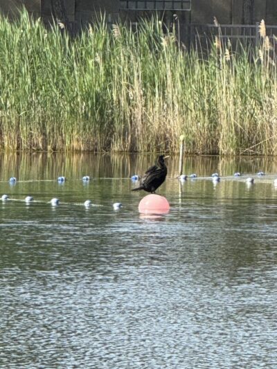 Horseshoe Lake Recreation Complex - Succasunna, NJ