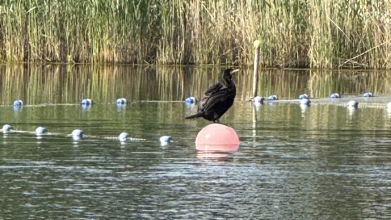 Horseshoe Lake Recreation Complex - Succasunna, NJ