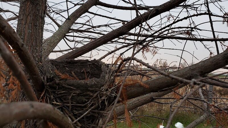 Stuart Sports Complex Dog Park - Sugar Grove, IL