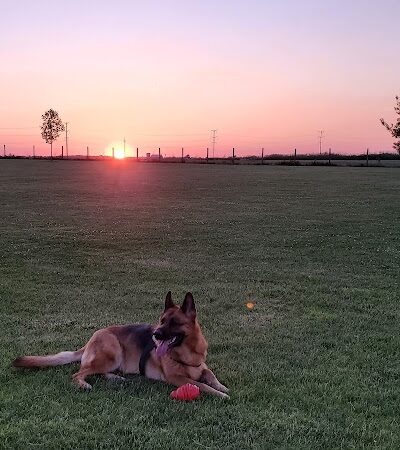 Stuart Sports Complex Dog Park - Sugar Grove, IL