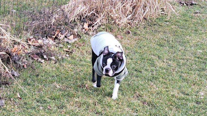 Stuart Sports Complex Dog Park - Sugar Grove, IL