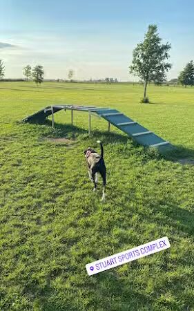 Stuart Sports Complex Dog Park - Sugar Grove, IL