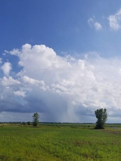 Woof Run Dog Park - Sugar Grove, IL