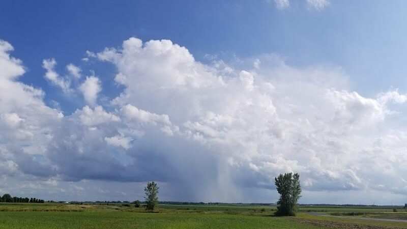 Woof Run Dog Park - Sugar Grove, IL