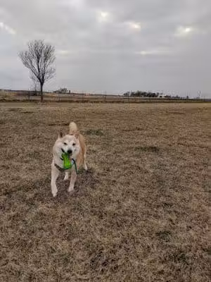 Woof Run Dog Park - Sugar Grove, IL