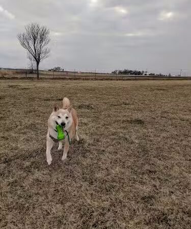 Woof Run Dog Park - Sugar Grove, IL
