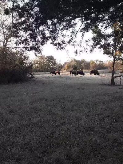 Bison Pasture Viewpoint - Sulphur, OK