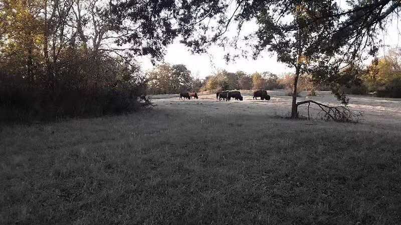 Bison Pasture Viewpoint - Sulphur, OK