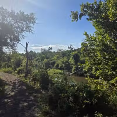 Bison Pasture Viewpoint - Sulphur, OK
